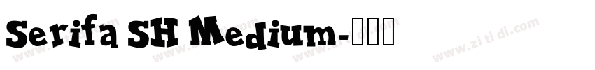 Serifa SH Medium字体转换